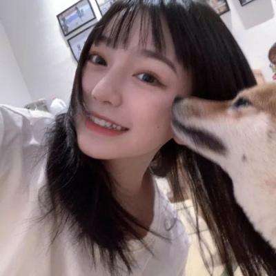 九游sd姬甲手游下载